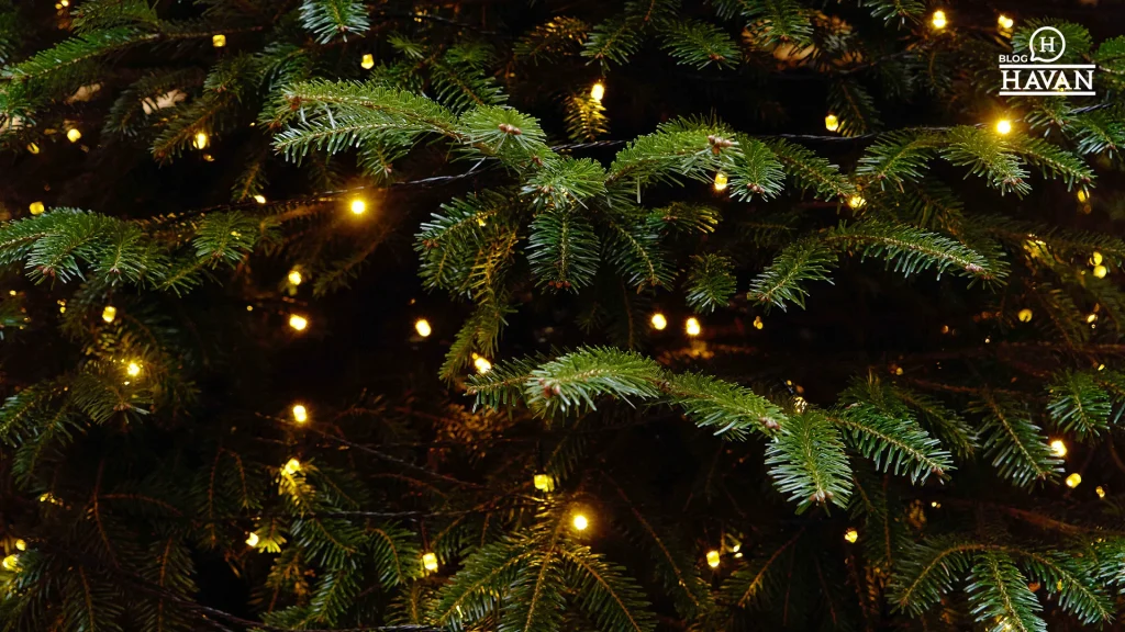 árvore de Natal com luzes de pisca-pisca